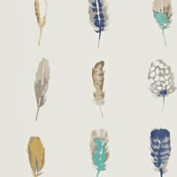Colour 1