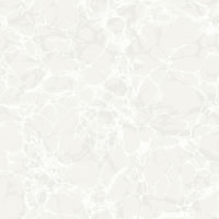 White on White